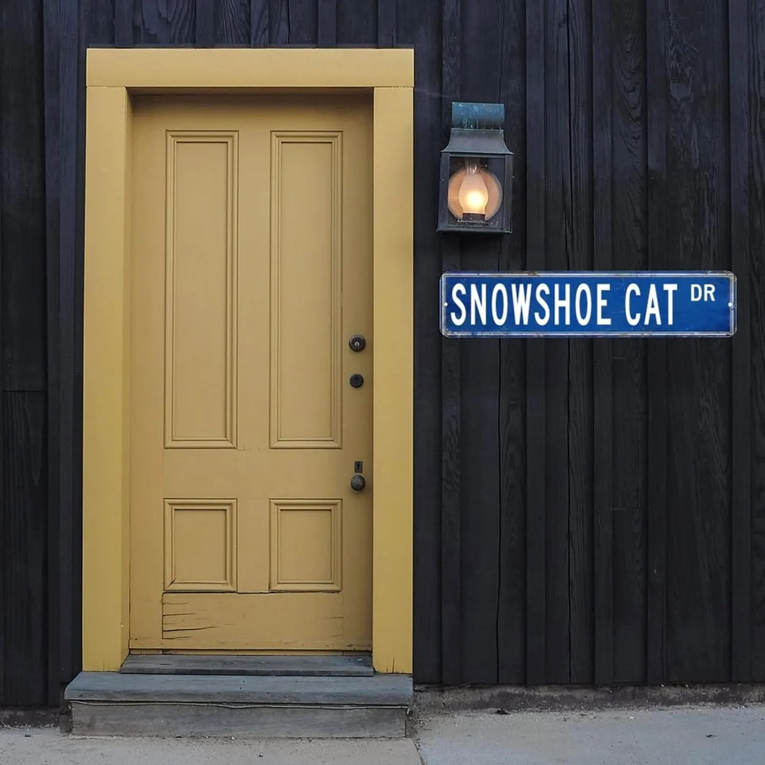 Snowshoe Cat Metal Sign 4 x 18 Inch, Aluminum Metal Plaque for Cafes, Club Decor Made in USA